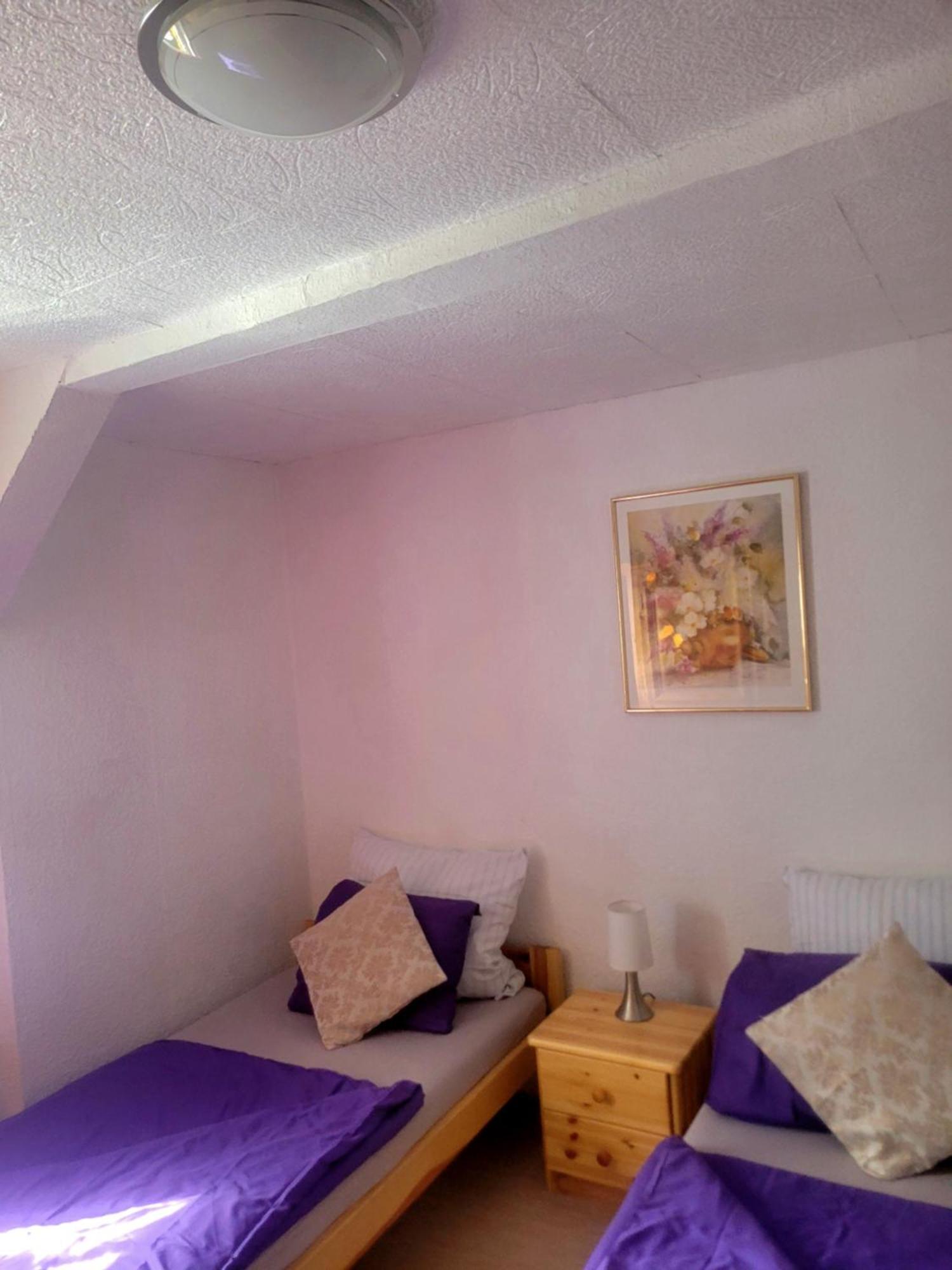 Sirisferienhaus Kurort Steinbach-Hallenberg Extérieur photo